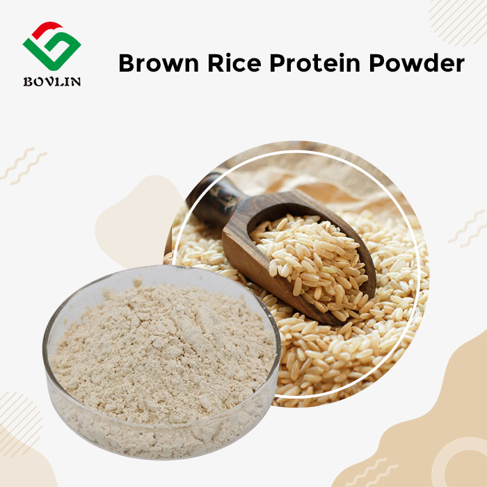 Bulk Brown Rice Protein Powder Bulk Brown Rice Protein Powder